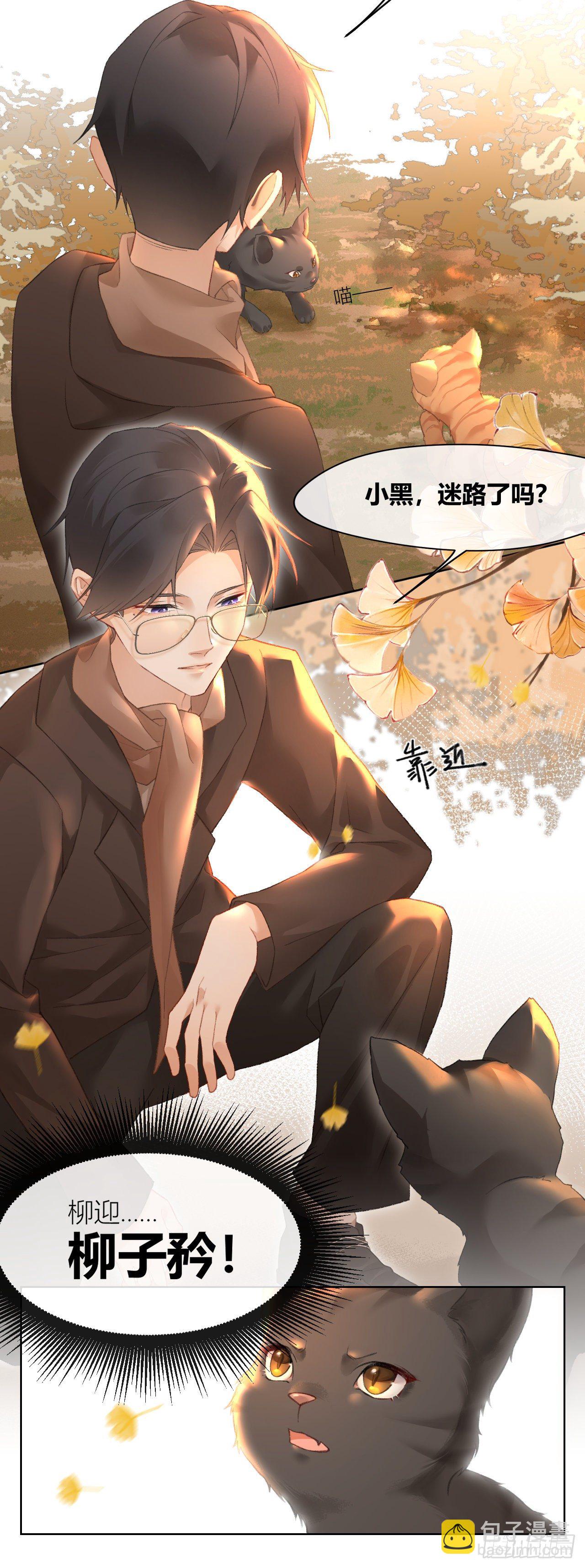 《我家的猫向我告白了！》绑架代替购买 第4页