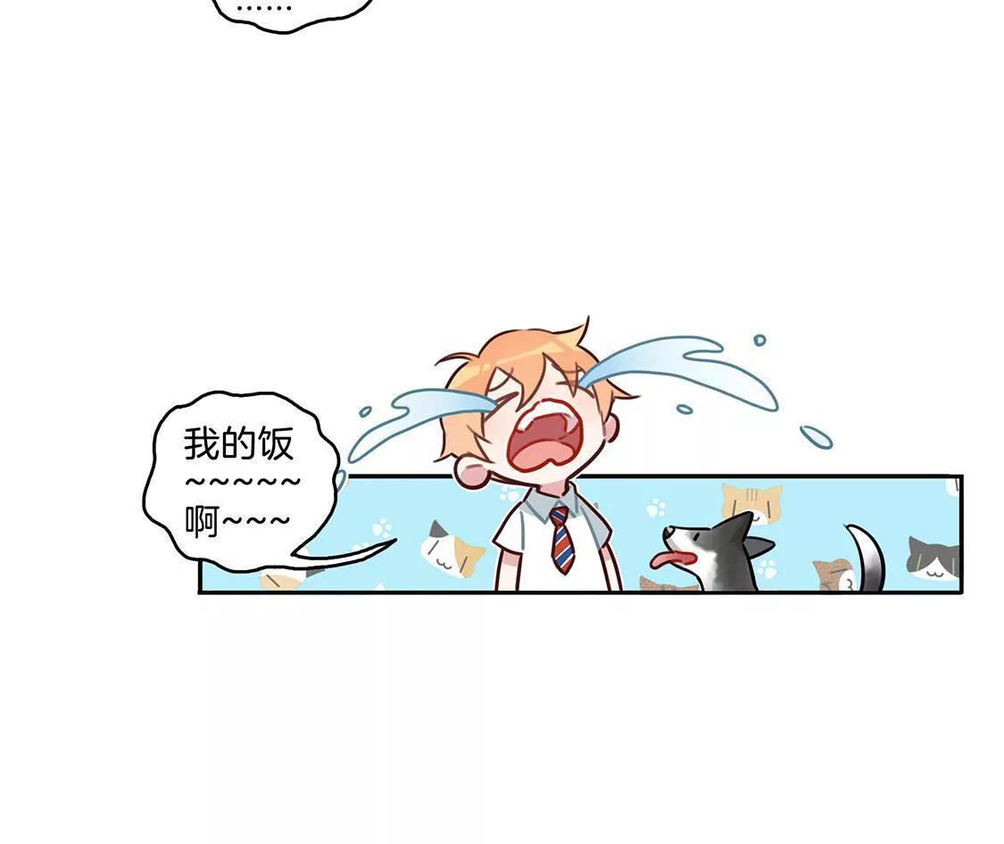 《易安中学下课后》16话 易安的新成员！ 第11页