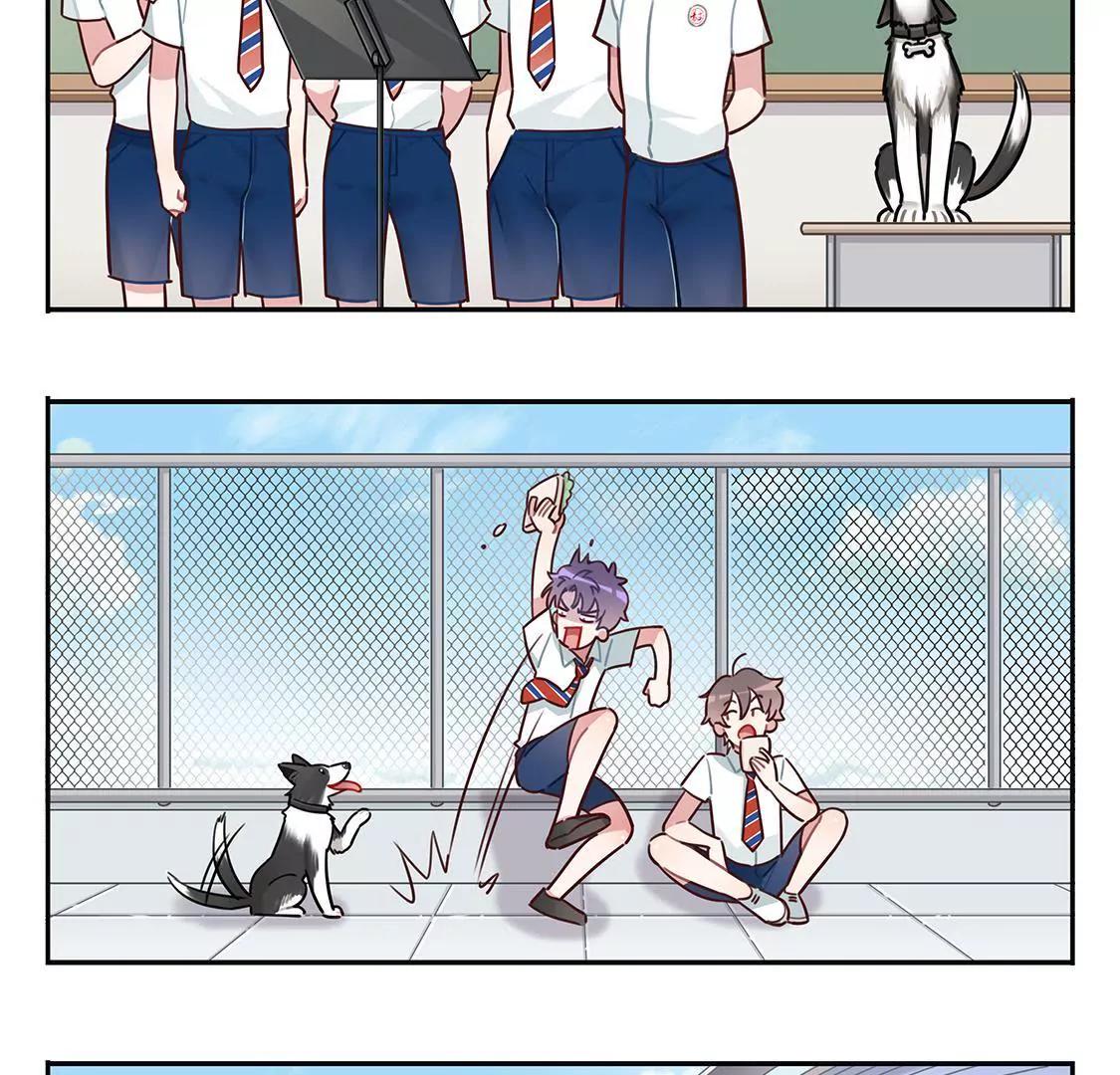 《易安中学下课后》16话 易安的新成员！ 第13页