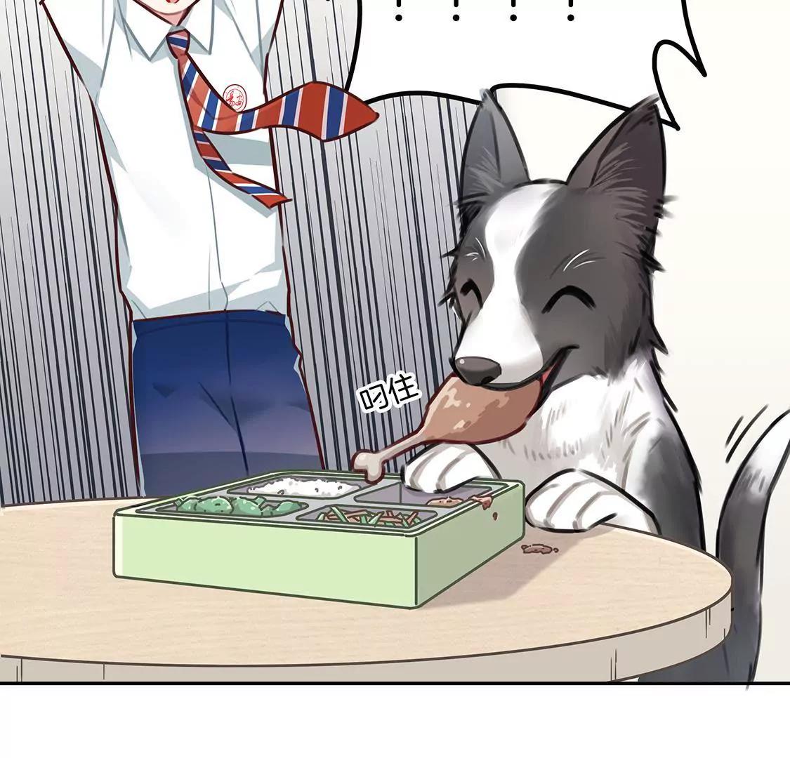 《易安中学下课后》16话 易安的新成员！ 第5页