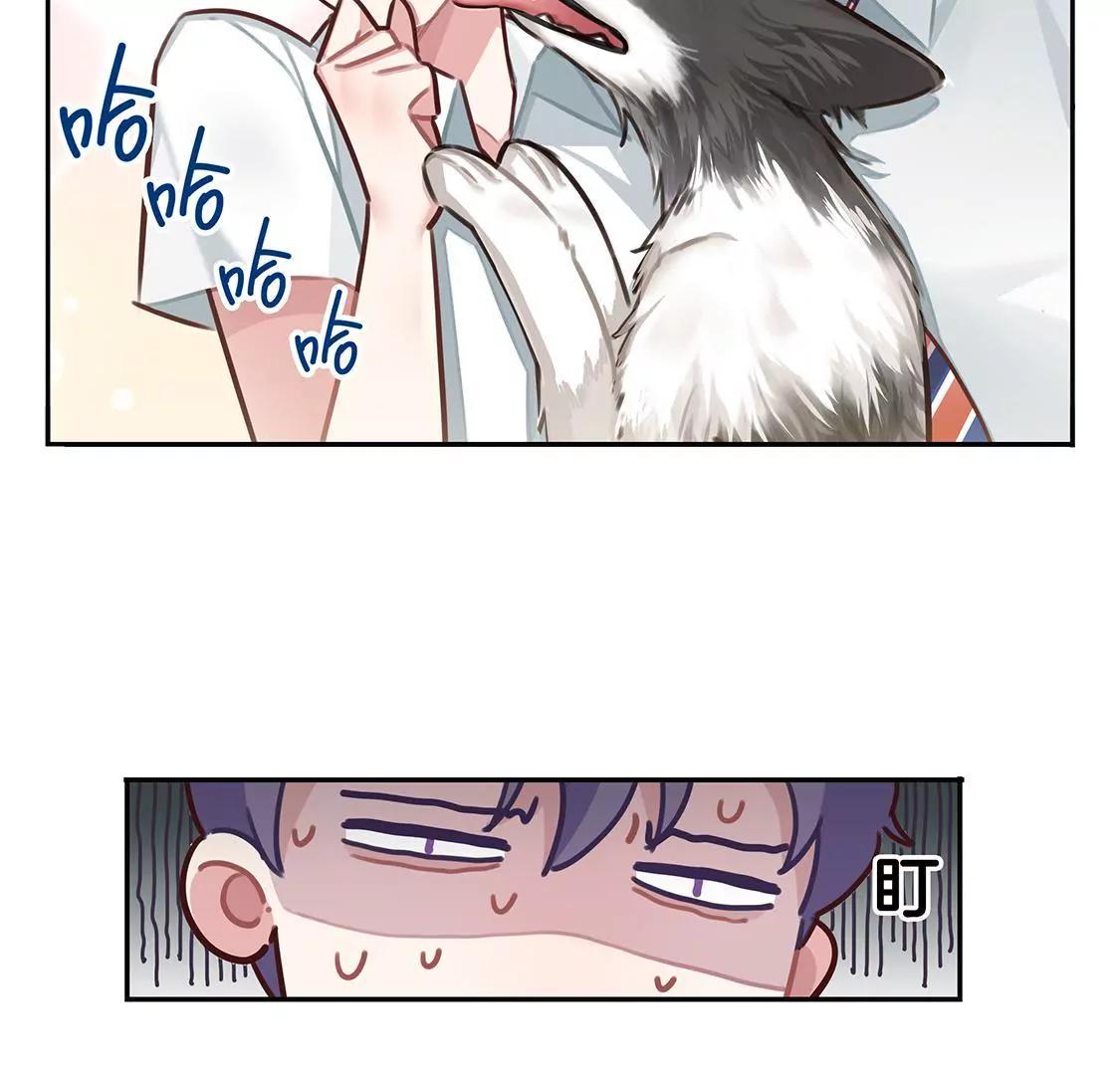 《易安中学下课后》16话 易安的新成员！ 第9页