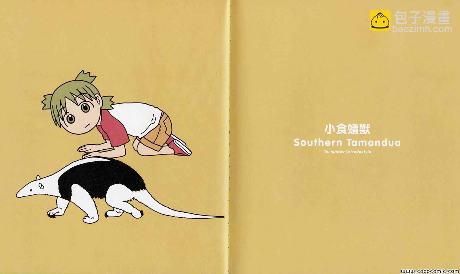 《四叶妹妹!》四叶妹妹 绘本 第10页