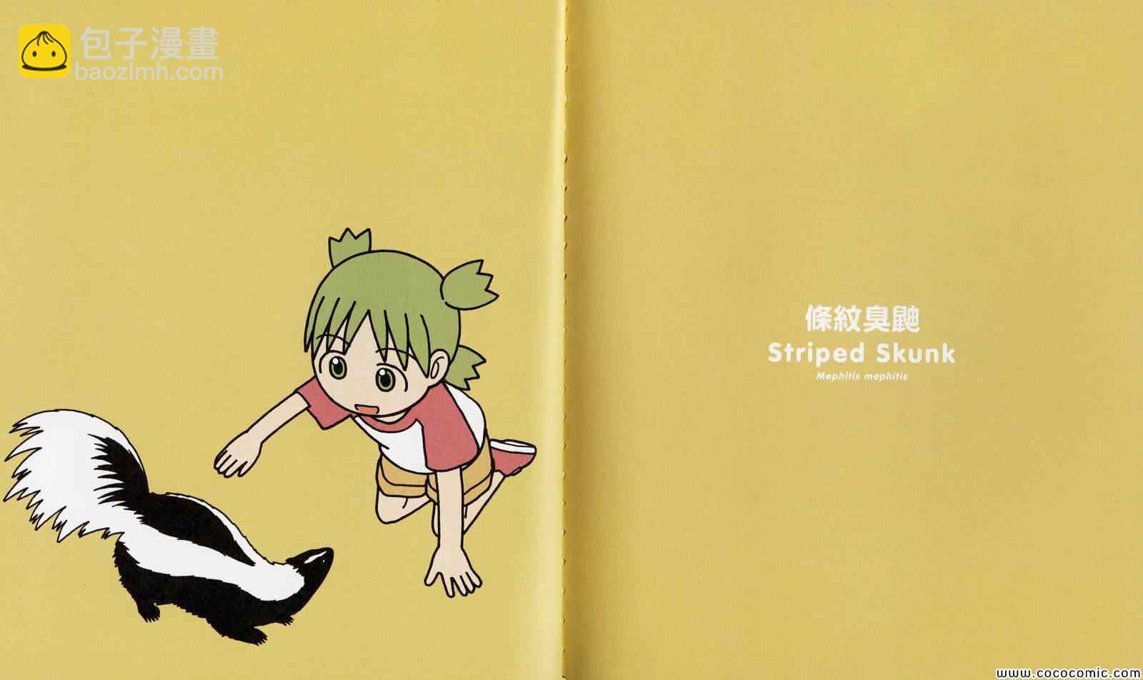 《四叶妹妹!》四叶妹妹 绘本 第13页
