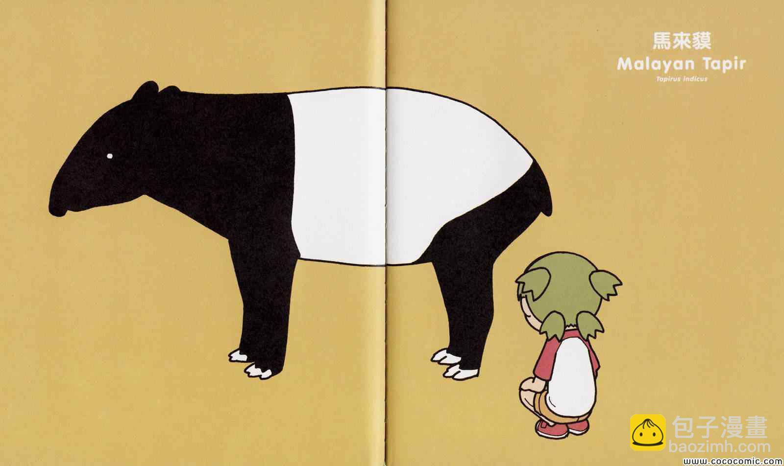 《四叶妹妹!》四叶妹妹 绘本 第4页