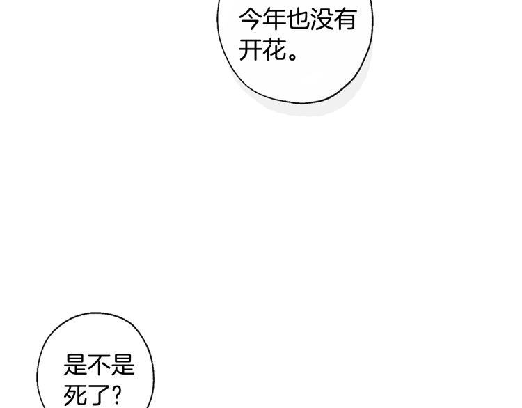 《山神大人总想撩我》第7话 让树开花 第23页