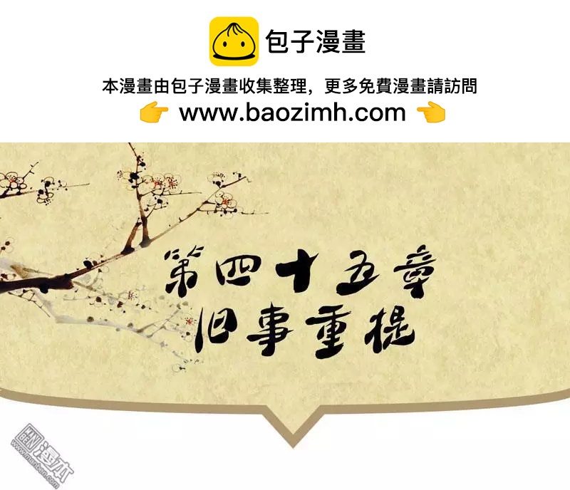 《青梅之恋》第47回 旧事重提 第2页