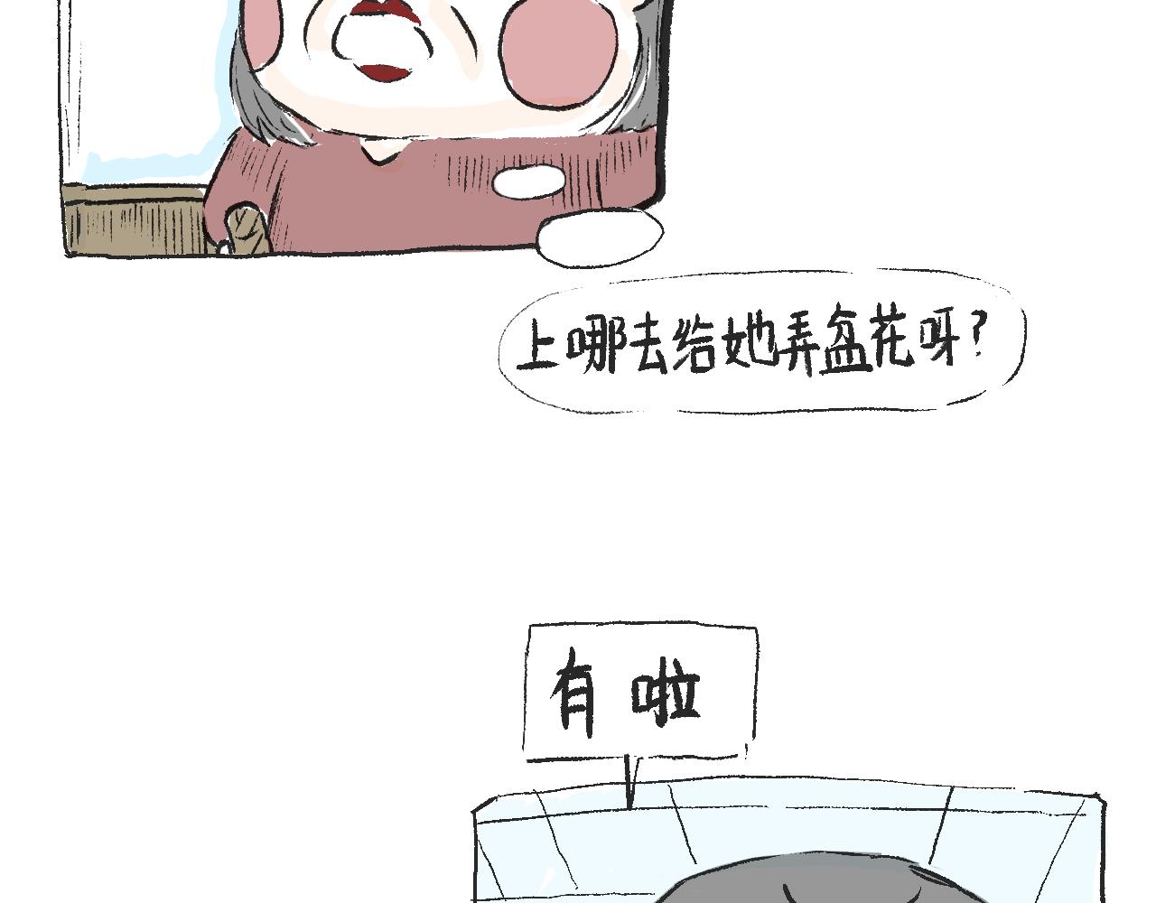 《莫动我去买个橘》莫橘番外好看的花 第17页