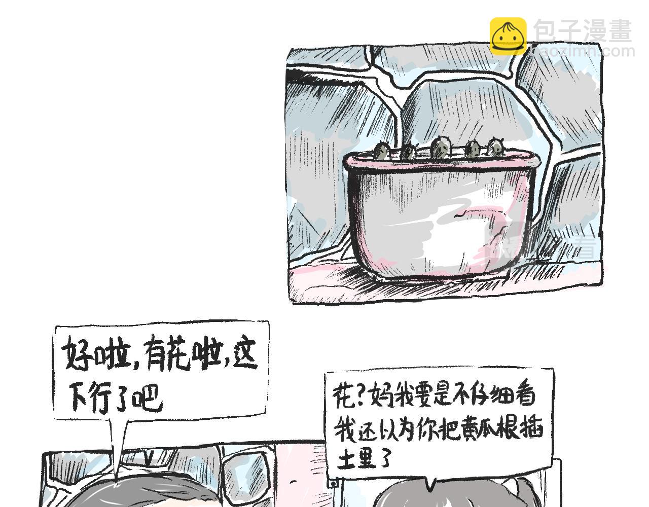 《莫动我去买个橘》莫橘番外好看的花 第21页