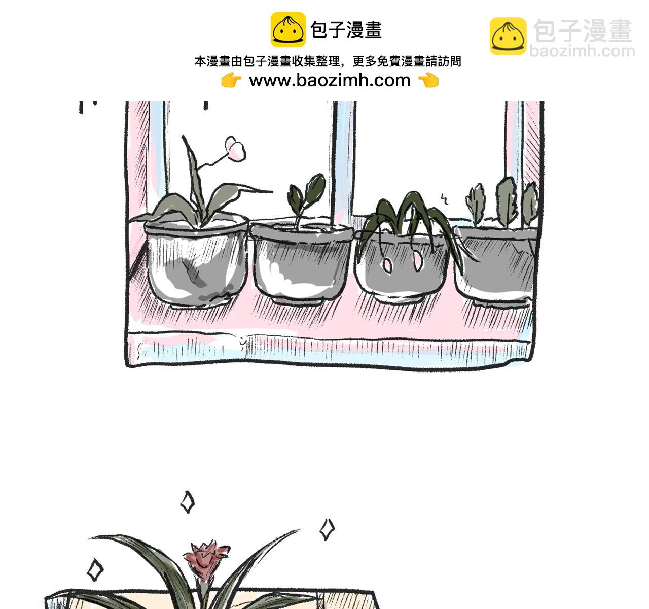 《莫动我去买个橘》莫橘番外好看的花 第2页