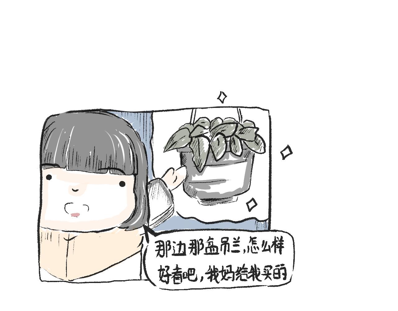 《莫动我去买个橘》莫橘番外好看的花 第32页