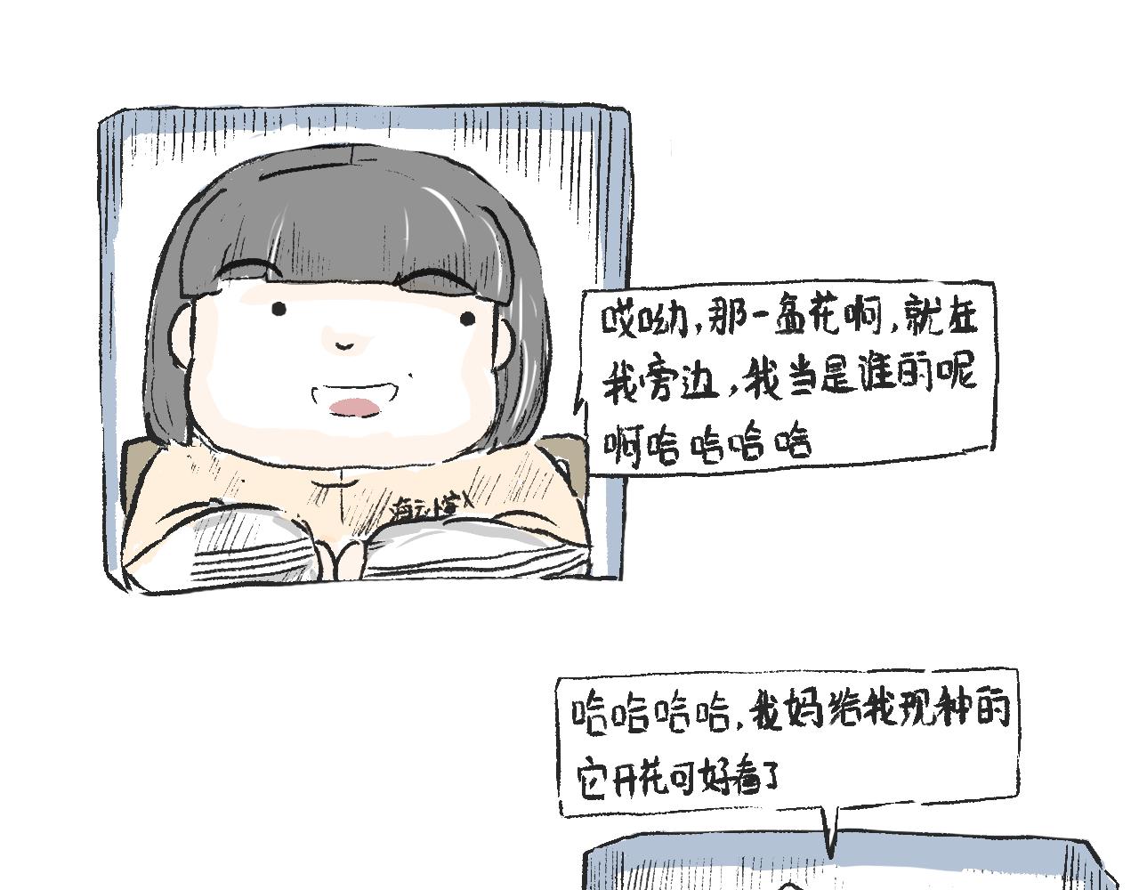 《莫动我去买个橘》莫橘番外好看的花 第36页