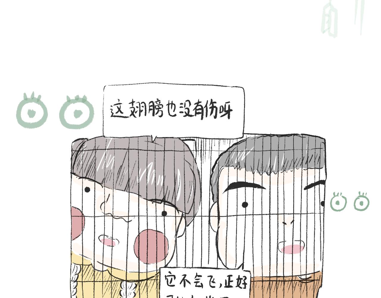 《莫动我去买个橘》第二十七话鸽子 第23页