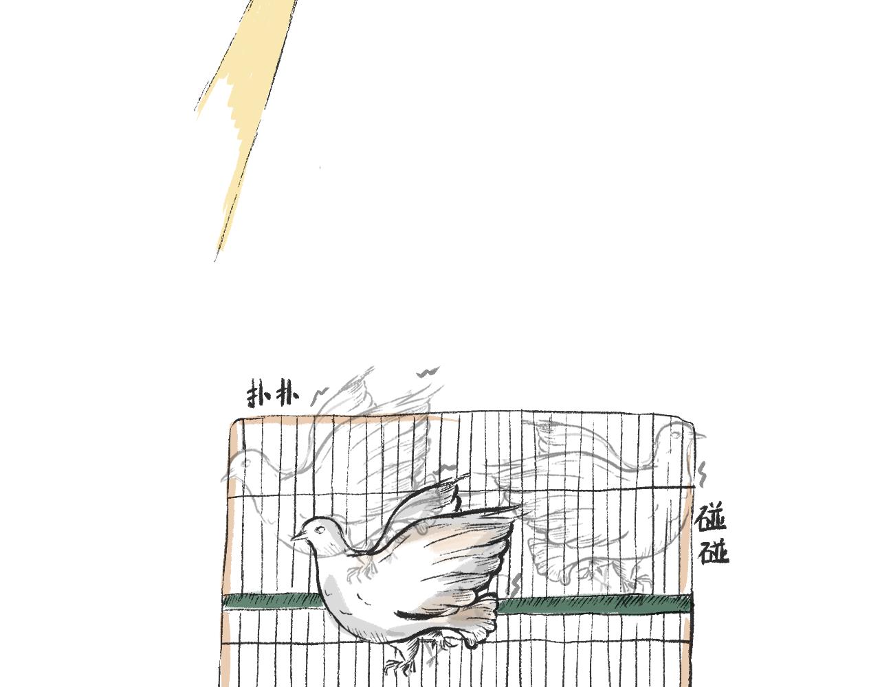 《莫动我去买个橘》第二十七话鸽子 第29页
