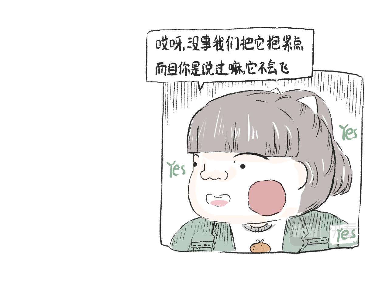 《莫动我去买个橘》第二十七话鸽子 第36页