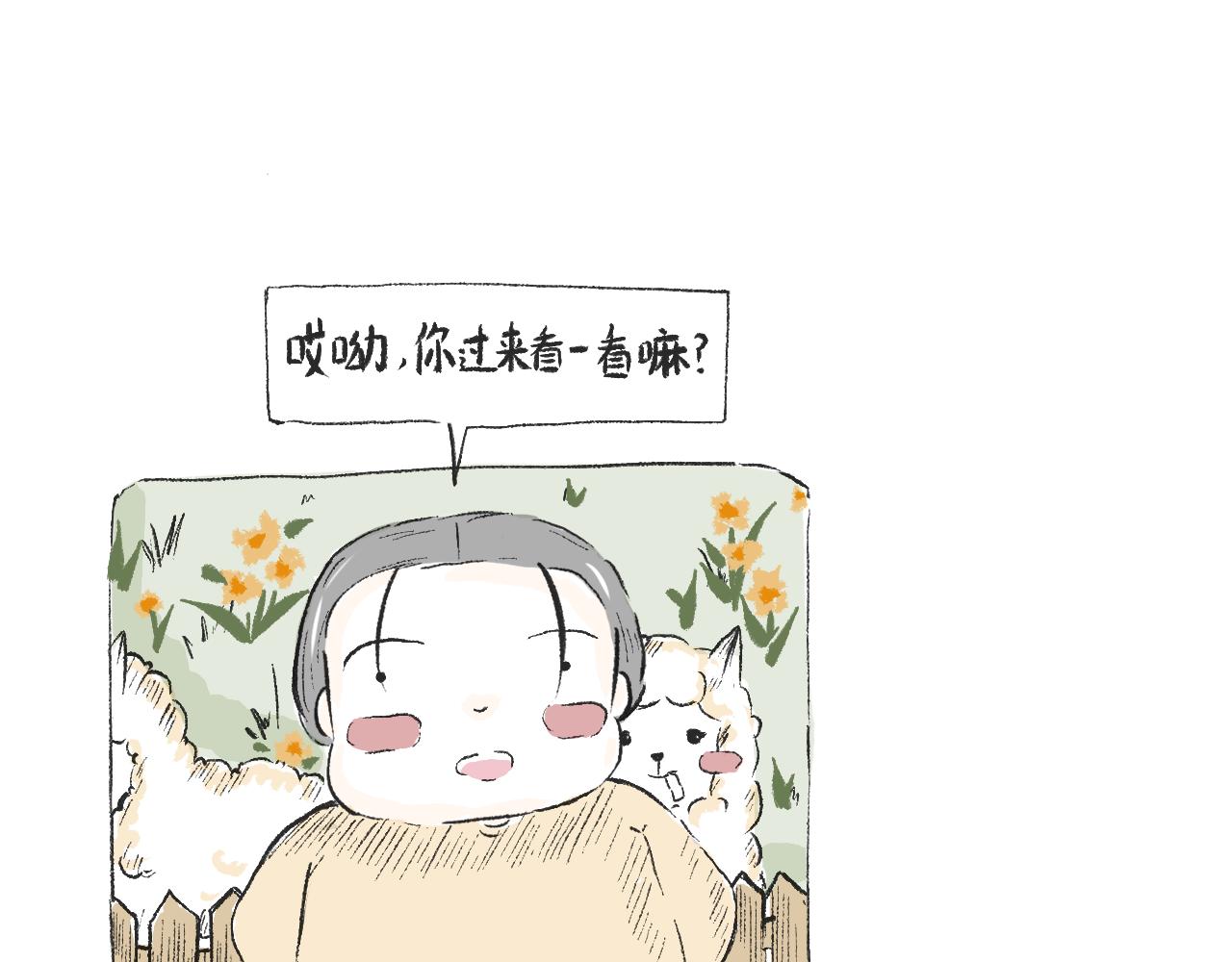 《莫动我去买个橘》第三十五话天上掉下个霸波奔 第7页