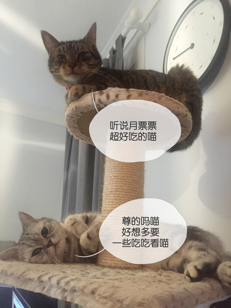 《遗失的冥河》20.猝死 第14页