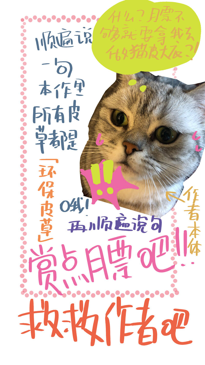 《遗失的冥河》47.初雪 第15页