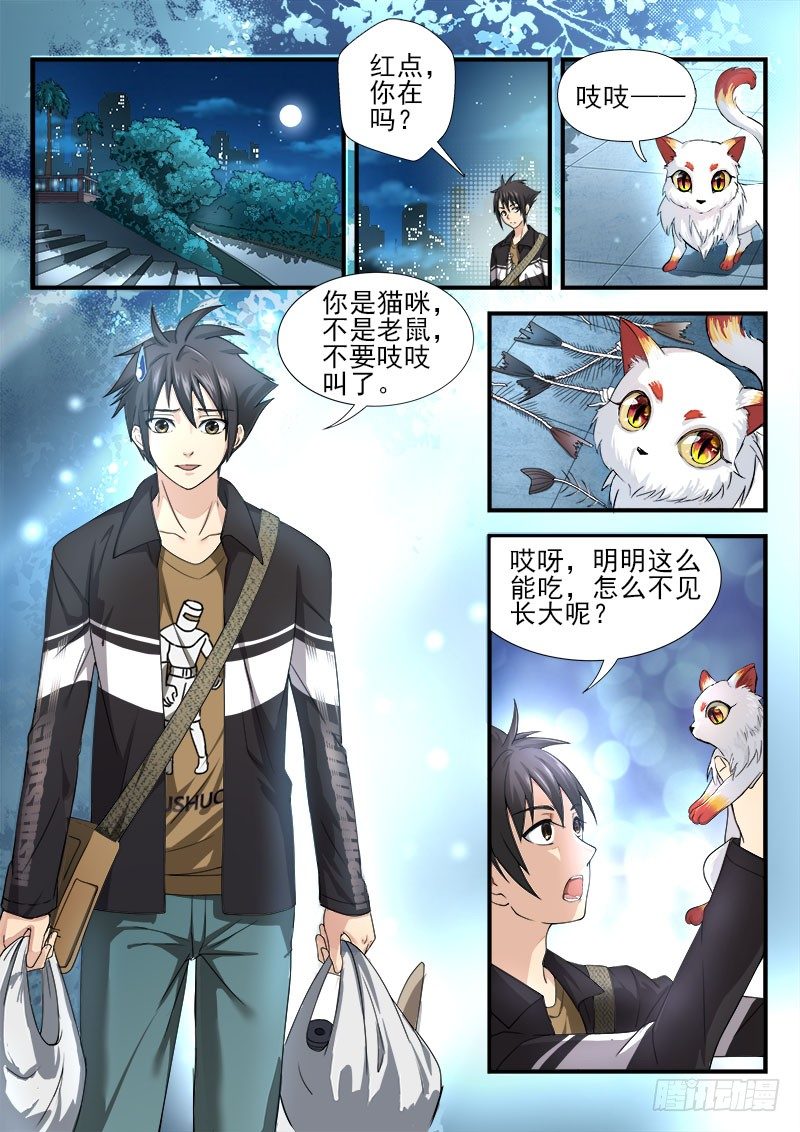 《国术无双》第六集 神秘的猫 第11页