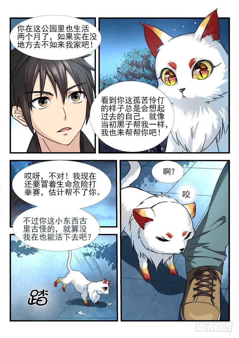 《国术无双》第六集 神秘的猫 第12页