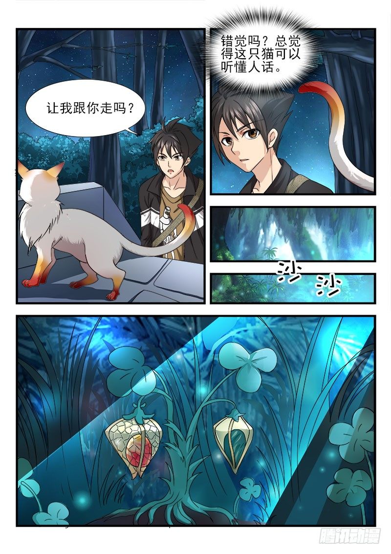 《国术无双》第六集 神秘的猫 第13页