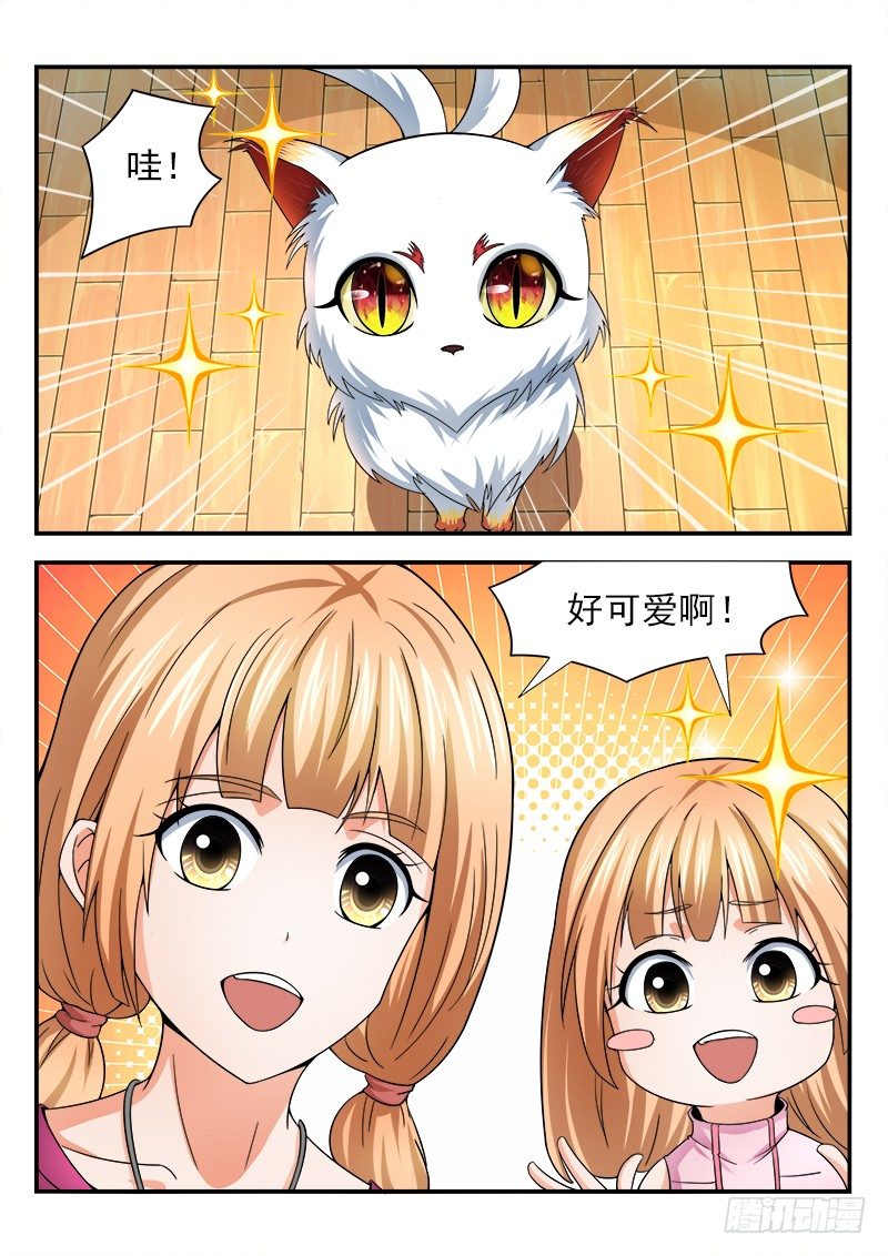 《国术无双》第十五集 和睦下的危机 第12页
