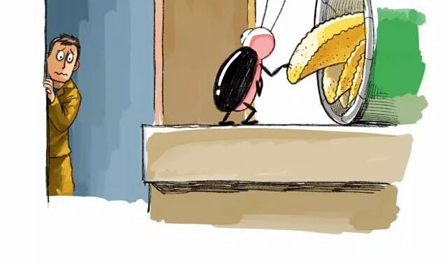 《小强100种死法》每个人内心深处想要的都差不多 第4页