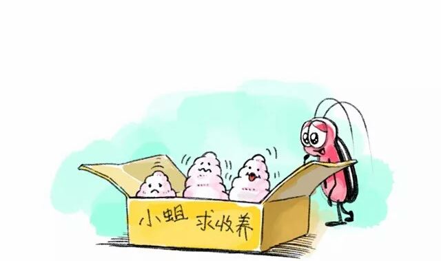 《小强100种死法》一起去遛苍蝇怎么样 第2页