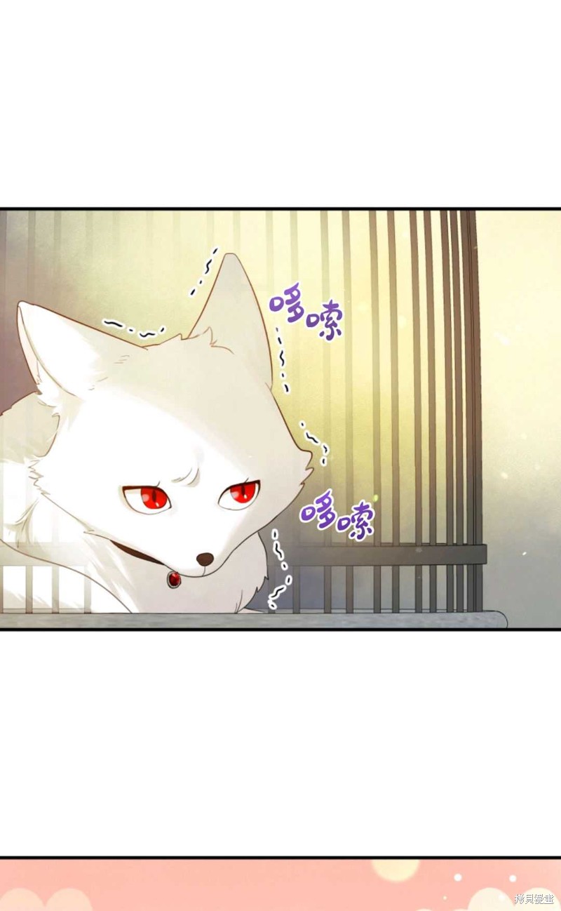 《成为BL主人公的妹妹》第11话 第29页