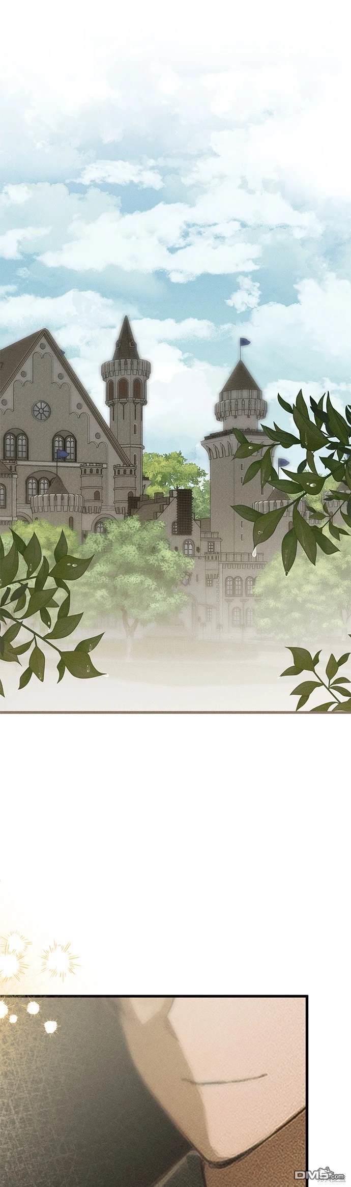 《恨我的老公失去了记忆》第29话 第33页