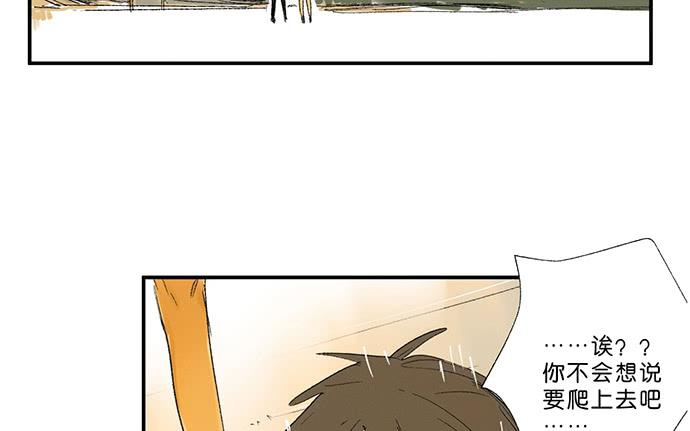 《牧午之森》13.登顶之战 第12页