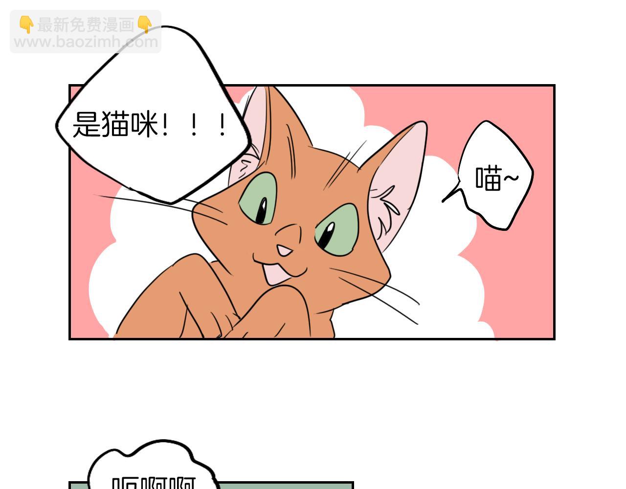 《名媛和小侍女》第9话 猫咪 第35页