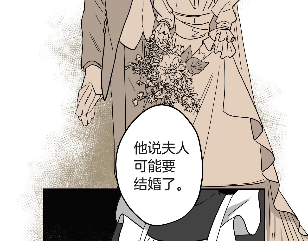 《名媛和小侍女》第17话 夫人的婚事 第25页