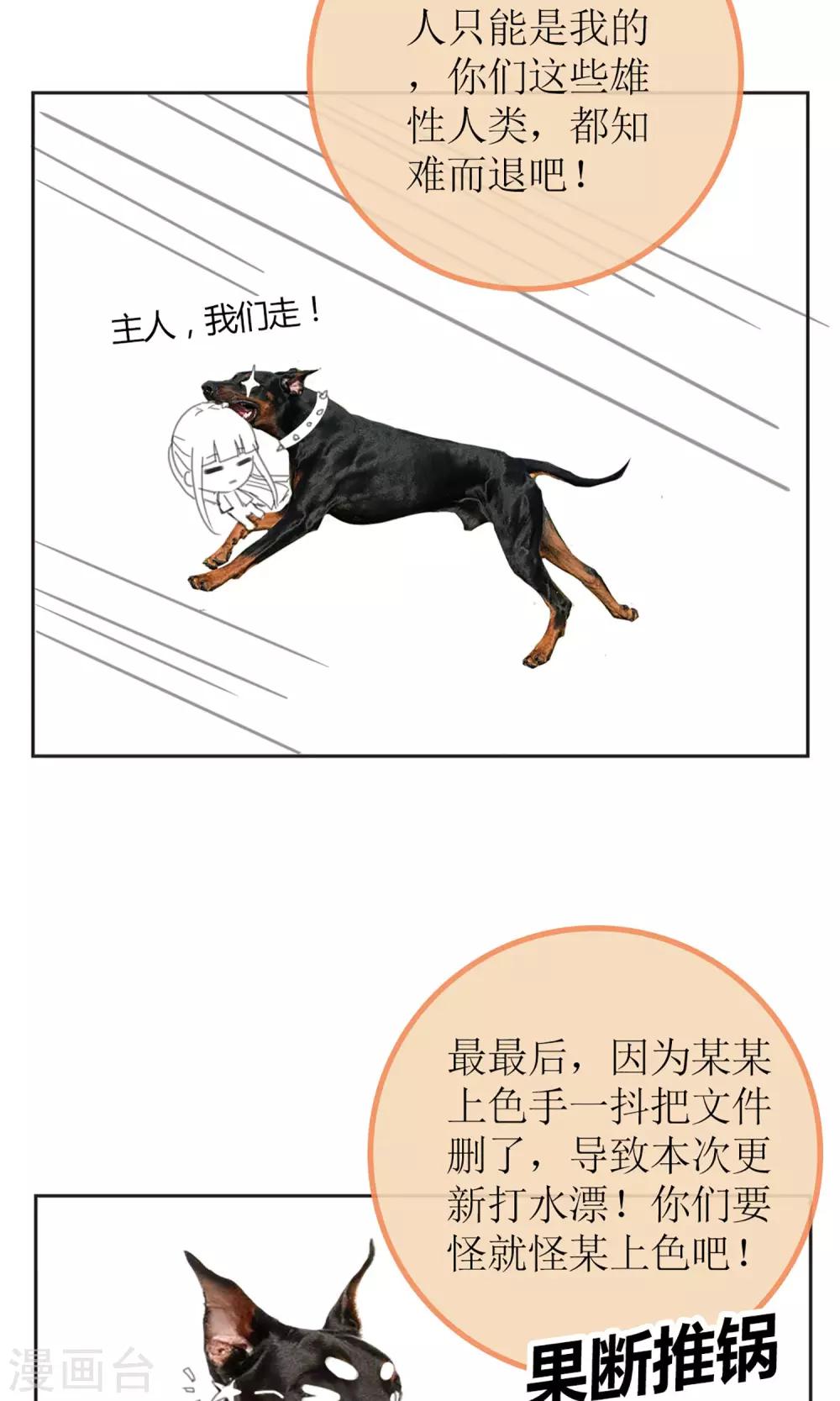 《盛世宠婚老婆你别跑》暖场小剧场 忠犭爱德华 第10页