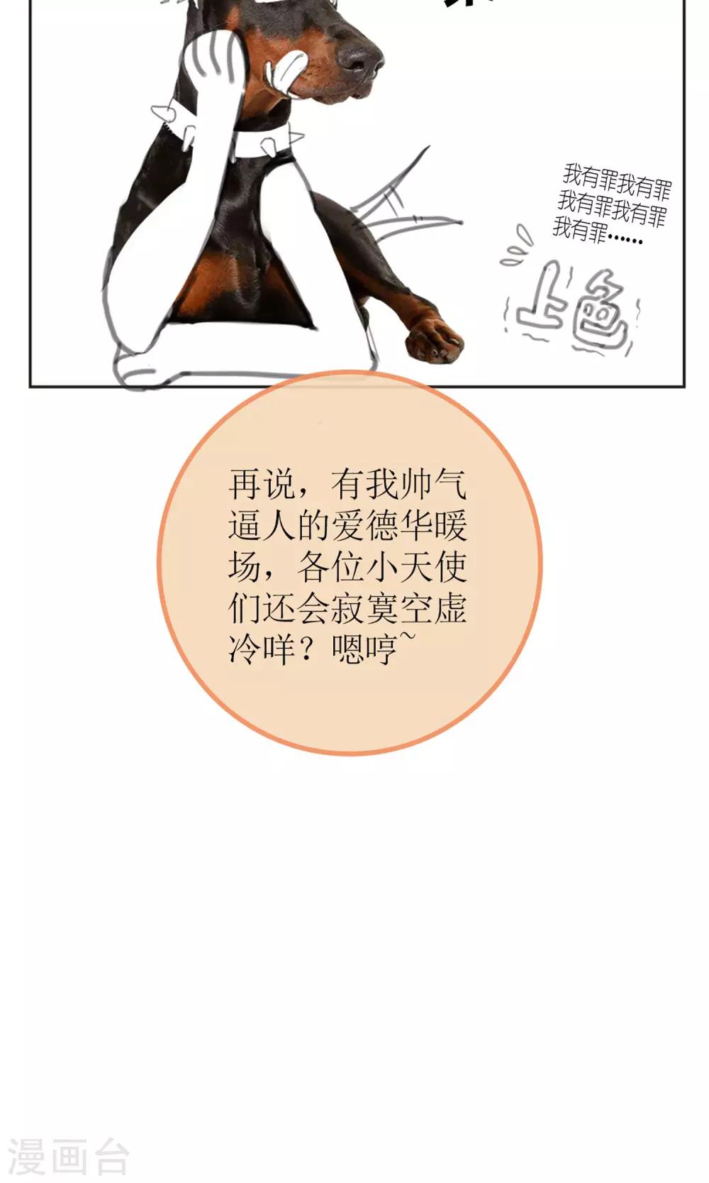 《盛世宠婚老婆你别跑》暖场小剧场 忠犭爱德华 第11页