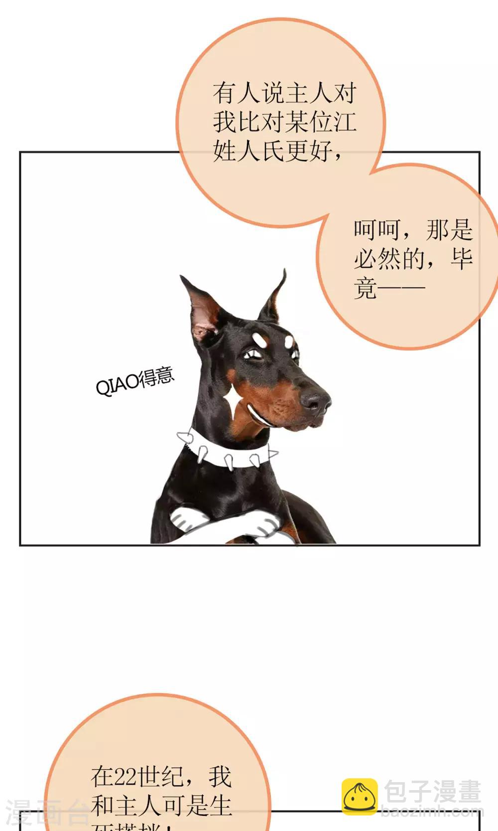 《盛世宠婚老婆你别跑》暖场小剧场 忠犭爱德华 第3页