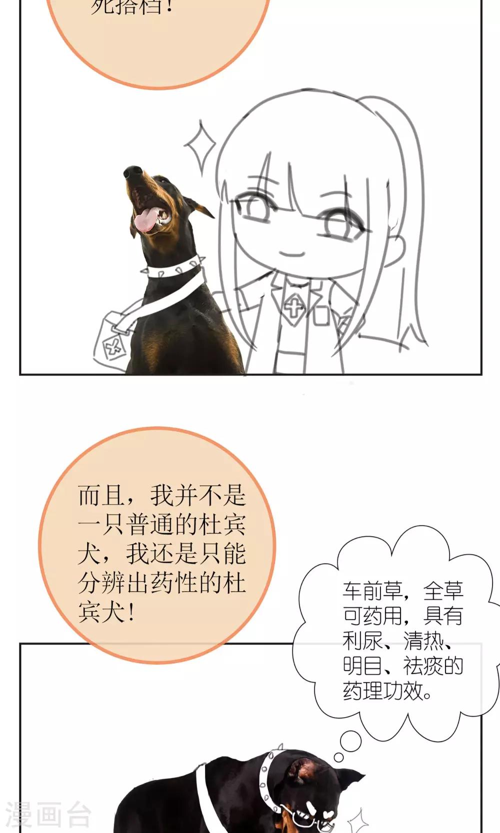 《盛世宠婚老婆你别跑》暖场小剧场 忠犭爱德华 第4页