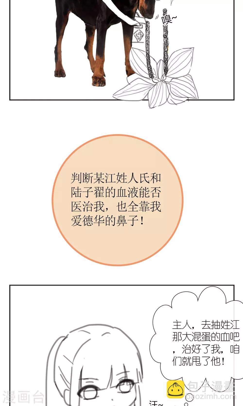 《盛世宠婚老婆你别跑》暖场小剧场 忠犭爱德华 第5页