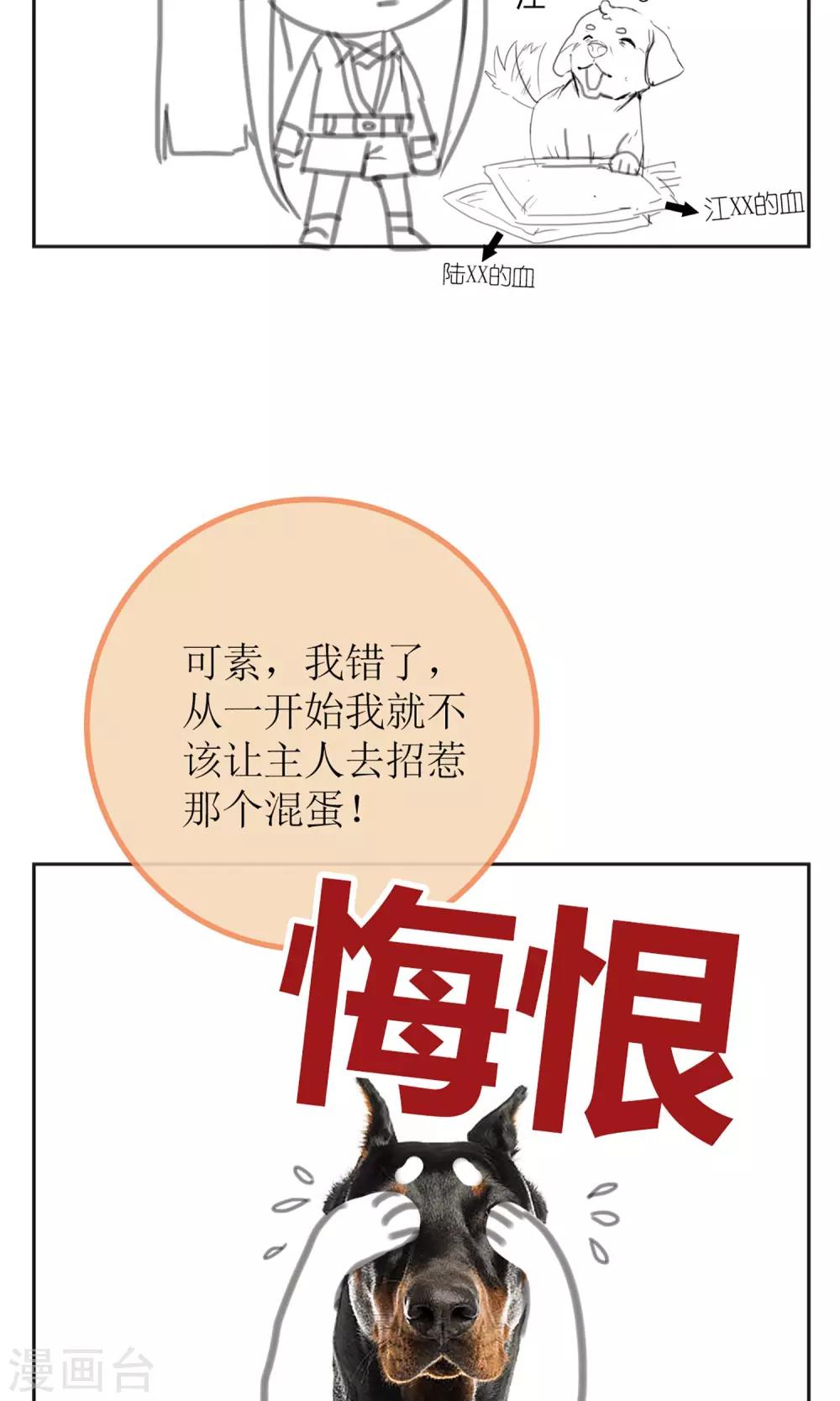 《盛世宠婚老婆你别跑》暖场小剧场 忠犭爱德华 第6页