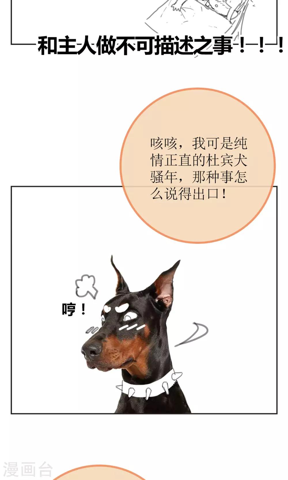 《盛世宠婚老婆你别跑》暖场小剧场 忠犭爱德华 第8页