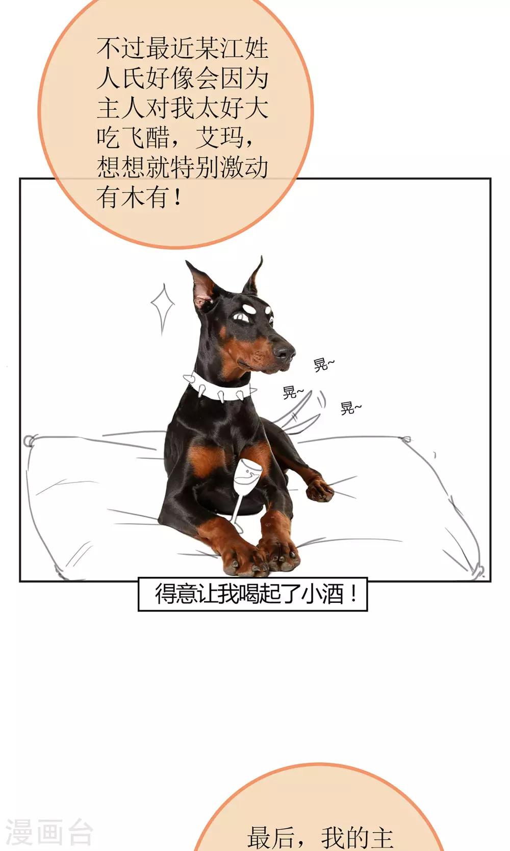 《盛世宠婚老婆你别跑》暖场小剧场 忠犭爱德华 第9页