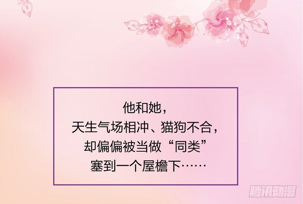 《第二次也很美》预告 第11页