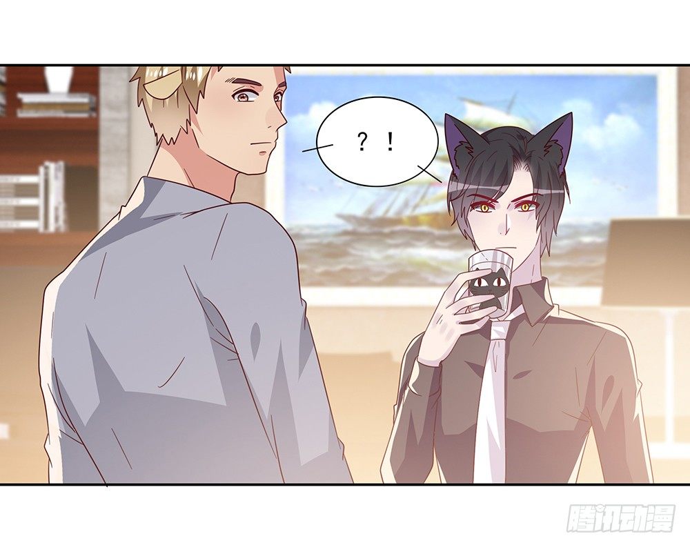 《第二次也很美》杯子来历 第16页