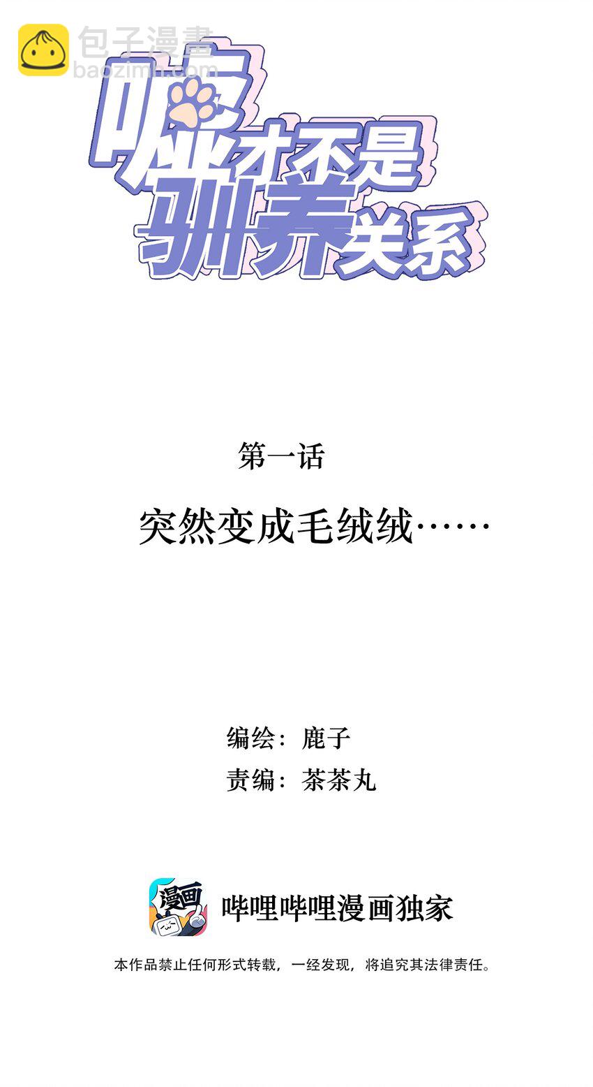 《嘘！才不是驯养关系》001 突然变成毛绒绒…… 第2页