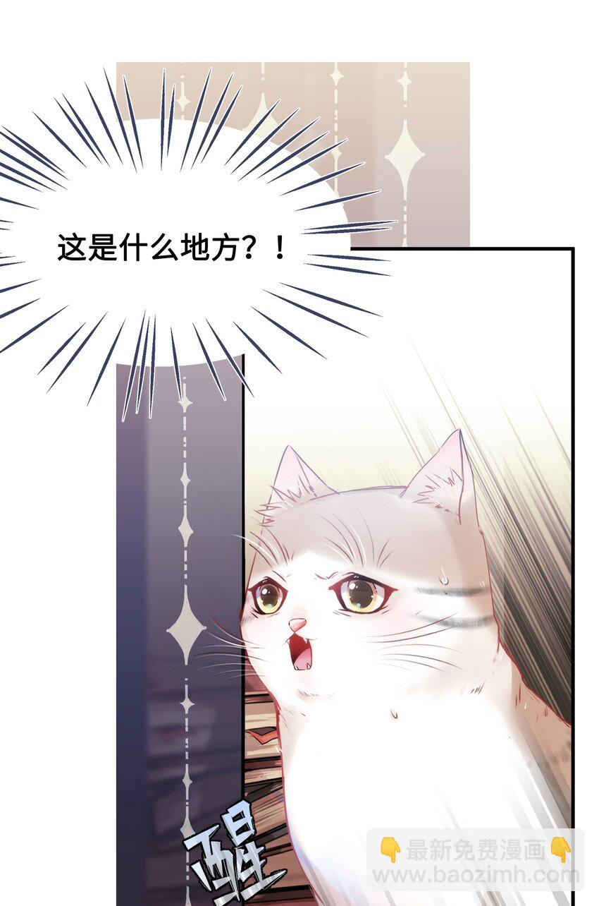 《嘘！才不是驯养关系》001 突然变成毛绒绒…… 第7页