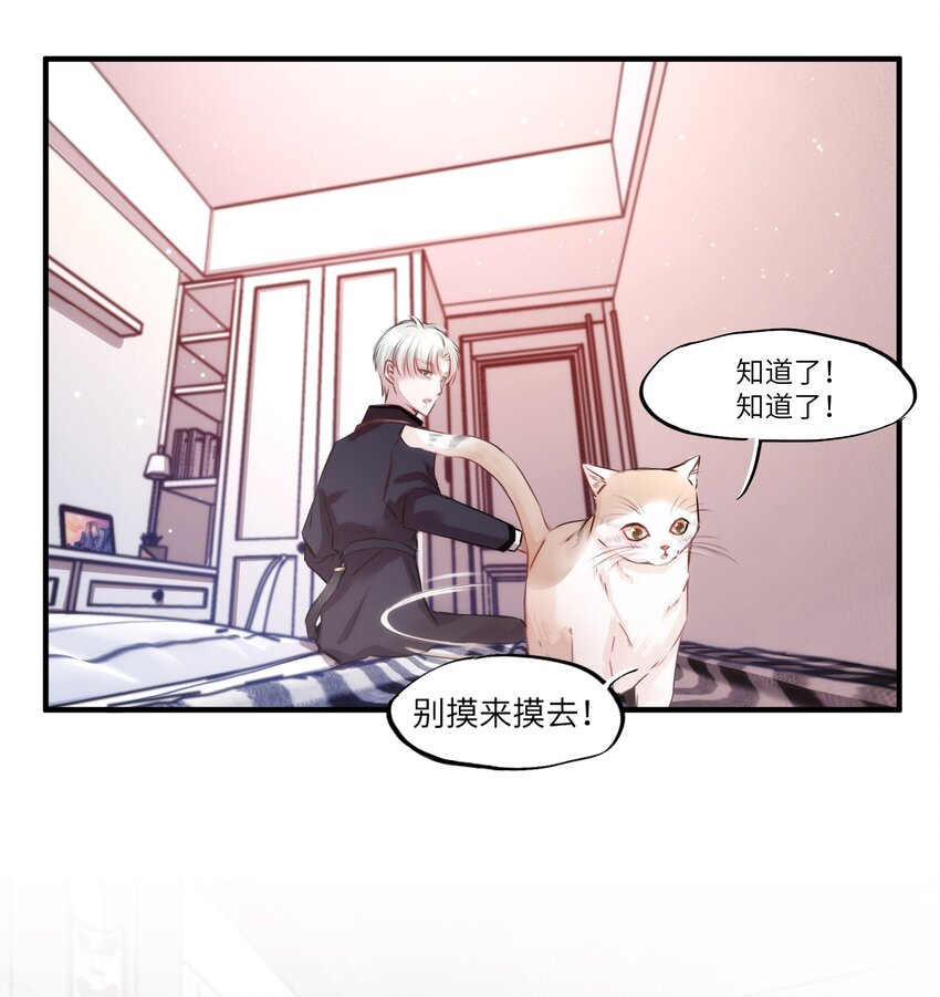 《嘘！才不是驯养关系》003 晏家的绝后危机？！ 第17页