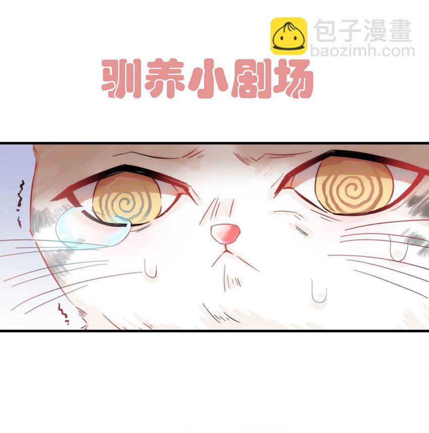 《嘘！才不是驯养关系》003 晏家的绝后危机？！ 第41页