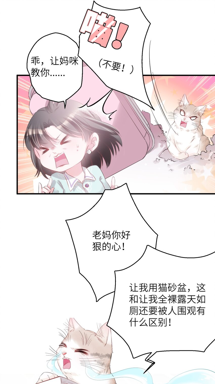 《嘘！才不是驯养关系》003 晏家的绝后危机？！ 第44页