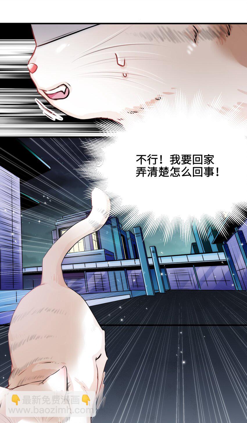 《嘘！才不是驯养关系》003 晏家的绝后危机？！ 第5页