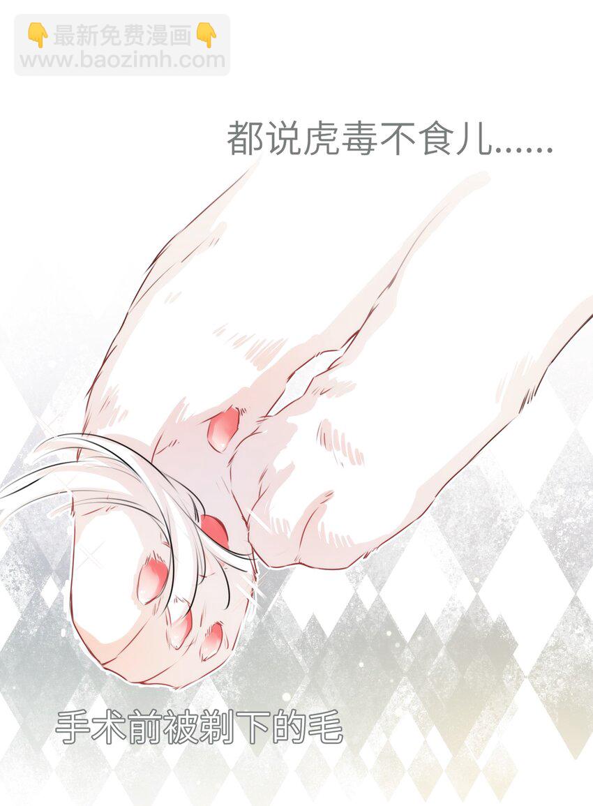 《嘘！才不是驯养关系》004 香火保住又撞邪？！ 第3页
