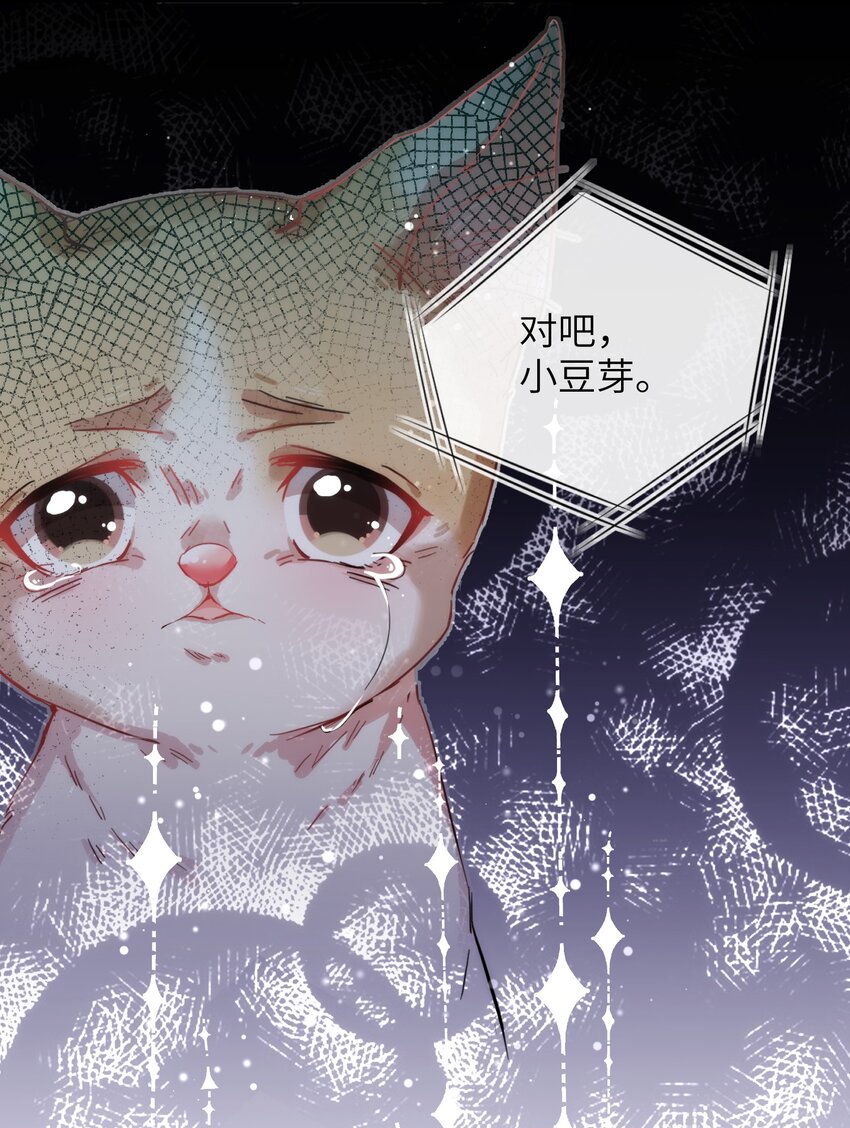 《嘘！才不是驯养关系》006 小狗豆芽的求助 第17页